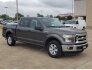 2017 Ford F150 for sale 101778526