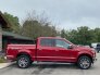 2017 Ford F150 for sale 101789026