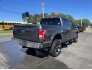2017 Ford F150 for sale 101793371