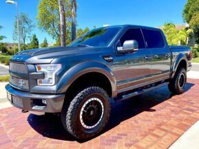 2017 Ford F150 for sale 101824667