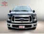 2017 Ford F150 for sale 101845505