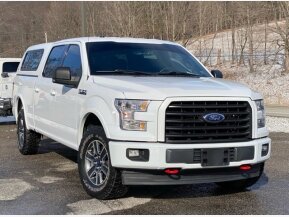 2017 Ford F150 for sale 101847036