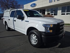 2017 Ford F150 for sale 102014402