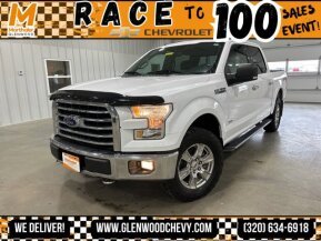 2017 Ford F150 for sale 102018924