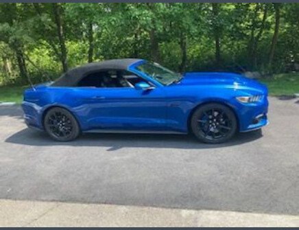 Photo 1 for 2017 Ford Mustang
