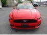 2017 Ford Mustang for sale 101531973