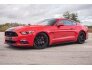 2017 Ford Mustang for sale 101636198