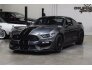 2017 Ford Mustang Shelby GT350 for sale 101650388