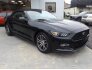 2017 Ford Mustang for sale 101665546