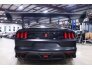 2017 Ford Mustang for sale 101670957