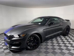 2017 Ford Mustang Shelby GT350 for sale 101677051