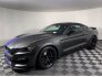 2017 Ford Mustang Shelby GT350 for sale 101677051