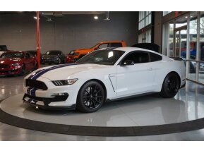 2017 Ford Mustang Shelby GT350 for sale 101678512