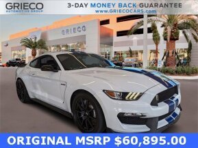2017 Ford Mustang Shelby GT350 for sale 101736621