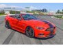 2017 Ford Mustang for sale 101777059