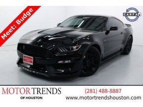 2017 Ford Mustang Shelby GT350 for sale 101779165