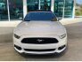 2017 Ford Mustang for sale 101793621