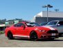 2017 Ford Mustang for sale 101793812