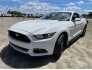 2017 Ford Mustang GT Coupe for sale 101795304