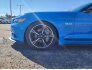 2017 Ford Mustang for sale 101798615
