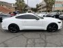 2017 Ford Mustang for sale 101812884