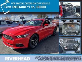 2017 Ford Mustang for sale 101813984