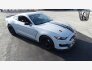 2017 Ford Mustang for sale 101821084