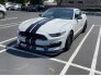 2017 Ford Mustang Shelby GT350 Coupe for sale 101822462
