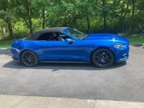 2017 Ford Mustang for sale 101893062
