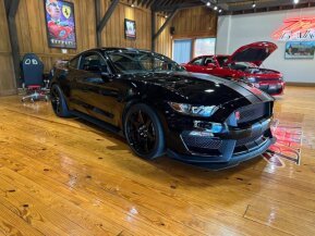 2017 Ford Mustang Shelby GT350 Coupe for sale 101919483