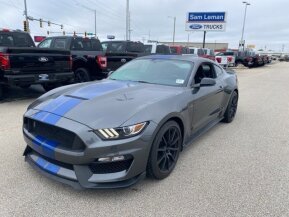 2017 Ford Mustang Shelby GT350 for sale 102023457