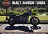 2017 Harley-Davidson Dyna Low Rider S for sale 200787715