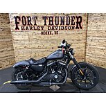 2017 Harley-Davidson Sportster Iron 883 for sale 201349771