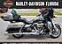 2017 Harley-Davidson Touring Electra Glide Ultra Classic for sale 200523694