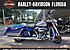 2017 Harley-Davidson Touring Road King for sale 200629203