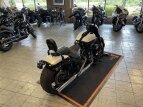 Thumbnail Photo 7 for 2017 Harley-Davidson CVO Breakout
