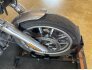 2017 Harley-Davidson Dyna Low Rider for sale 201316650