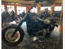 2017 Harley-Davidson Dyna Street Bob for sale 201375209