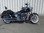 Thumbnail Photo 1 for 2017 Harley-Davidson Softail Deluxe