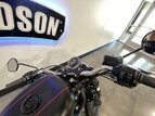 Thumbnail Photo 10 for 2017 Harley-Davidson Sportster Roadster