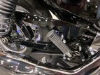 Thumbnail Photo 7 for 2017 Harley-Davidson Sportster 1200 Custom