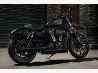 Thumbnail Photo 2 for 2017 Harley-Davidson Sportster