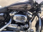 Thumbnail Photo 1 for 2017 Harley-Davidson Sportster 1200 Custom