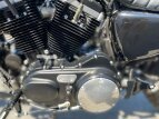 Thumbnail Photo 14 for 2017 Harley-Davidson Sportster Iron 883