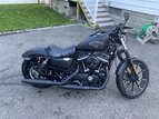 Thumbnail Photo 0 for 2017 Harley-Davidson Sportster Iron 883