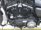 Thumbnail Photo 9 for 2017 Harley-Davidson Sportster Iron 883
