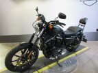 Thumbnail Photo 5 for 2017 Harley-Davidson Sportster Iron 883