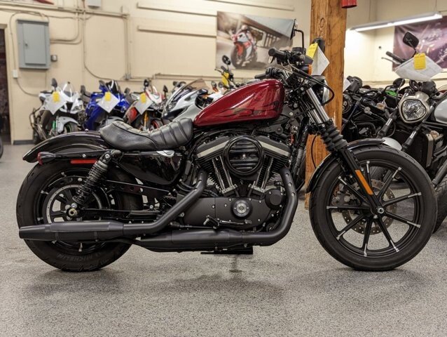 Harley davidson sportster 883 on sale for sale near me