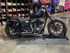 Thumbnail Photo 4 for 2017 Harley-Davidson Sportster