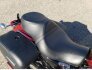 2017 Harley-Davidson Sportster for sale 201356352